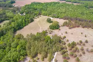 06 Pompey Rd, Manning, SC 29102 - Photo 21