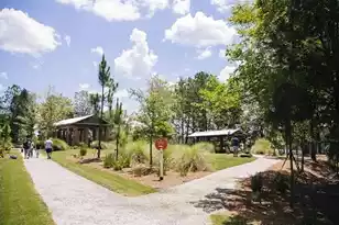 253 Maritime Way, Summerville, SC 29485 - Photo 31