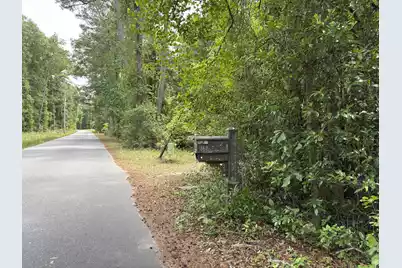 153 Joshua Lane, Dorchester, SC 29437 - Photo 39