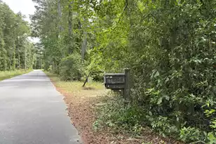 153 Joshua Ln, Dorchester, SC 29437 - Photo 39