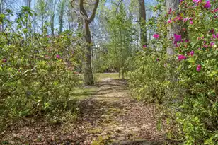 841 Googe St, Allendale, SC 29810 - Photo 43
