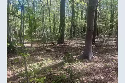 2492 Boy Scout Road, Wadmalaw Island, SC 29487 - Photo 7