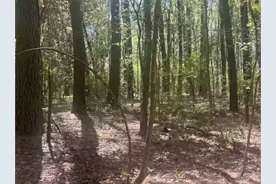 2492 Boy Scout Road, Wadmalaw Island, SC 29487 - Photo 5