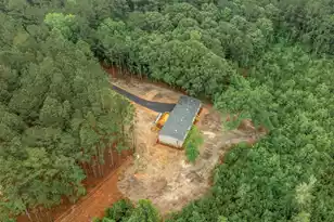 145 Bonanza Dr, Eutawville, SC 29048 - Photo 3