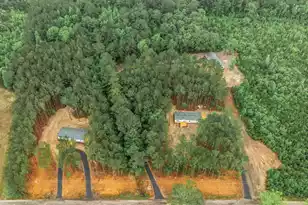 145 Bonanza Dr, Eutawville, SC 29048 - Photo 35