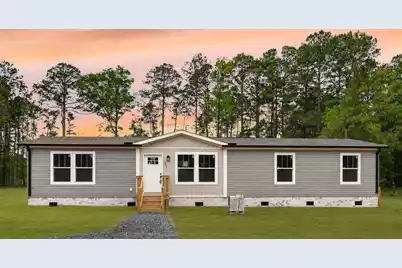 293 Branch Hollow Drive, Walterboro, SC 29488 - Photo 1
