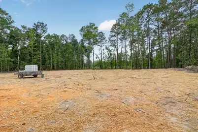 293 Branch Hollow Drive, Walterboro, SC 29488 - Photo 7