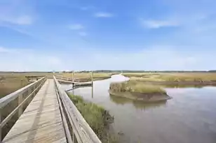 1081 Saltwater Cir, Johns Island, SC 29455 - Photo 37
