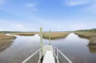 1081 Saltwater Cir, Johns Island, SC 29455 - Photo 41
