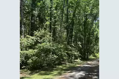 0 Pritchard Green Road, Mount Pleasant, SC 29429 - Photo 5