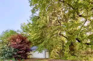 11481 Voorhees Rd, Denmark, SC 29042 - Photo 37