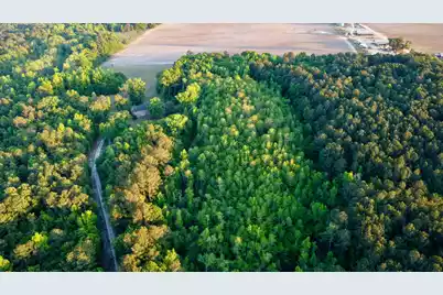 11481 Voorhees Road, Denmark, SC 29042 - Photo 39