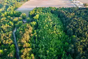 11481 Voorhees Rd, Denmark, SC 29042 - Photo 39