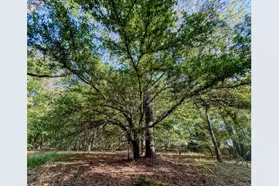 11481 Voorhees Road, Denmark, SC 29042 - Photo 9