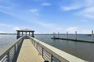 2238 Brown Pelican Ln, Charleston, SC 29412 - Photo 59