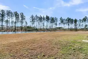 229 Grand Vw Xing, Summerville, SC 29483 - Photo 39