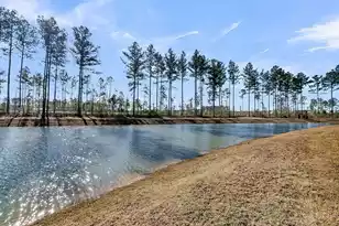 229 Grand Vw Xing, Summerville, SC 29483 - Photo 41
