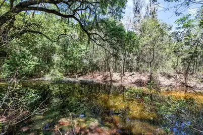 6180 Josie Ridge Road, Wadmalaw Island, SC 29487 - Photo 13