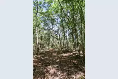 6180 Josie Ridge Road, Wadmalaw Island, SC 29487 - Photo 11