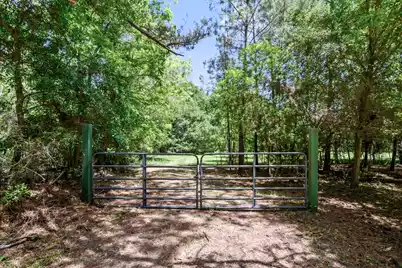 6180 Josie Ridge Road, Wadmalaw Island, SC 29487 - Photo 9