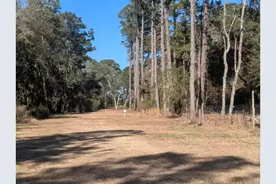 2128 McNeil Washington Road, Charleston, SC 29412 - Photo 1