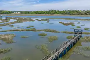 2644 Bohicket Rd, Johns Island, SC 29455 - Photo 81