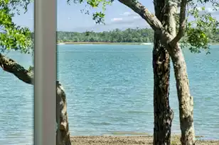401 Wayfaring Point, Daniel Island, SC 29492 - Photo 59
