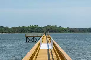 401 Wayfaring Point, Daniel Island, SC 29492 - Photo 49