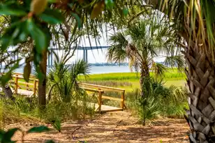 401 Wayfaring Point, Daniel Island, SC 29492 - Photo 55