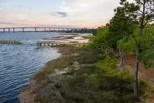 401 Wayfaring Point, Daniel Island, SC 29492 - Photo 153