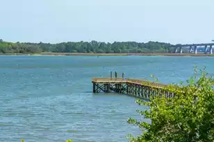 401 Wayfaring Point, Daniel Island, SC 29492 - Photo 93