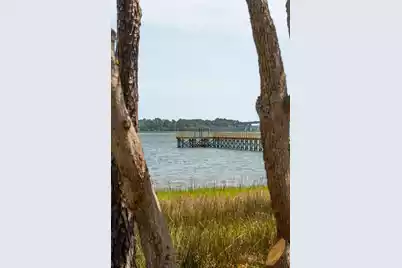 401 Wayfaring Point, Daniel Island, SC 29492 - Photo 47