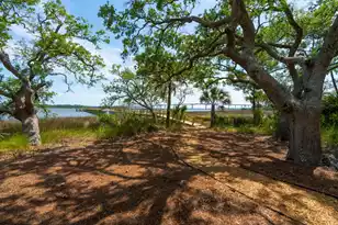 401 Wayfaring Point, Daniel Island, SC 29492 - Photo 45