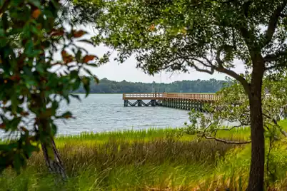 401 Wayfaring Point, Daniel Island, SC 29492 - Photo 53