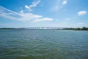 401 Wayfaring Point, Daniel Island, SC 29492 - Photo 51