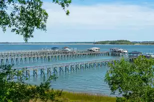 401 Wayfaring Point, Daniel Island, SC 29492 - Photo 103