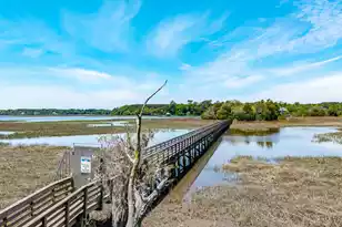 3894 Plantation Lakes Dr, Johns Island, SC 29455 - Photo 49