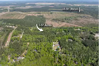 0 Forest Place, Marion, SC 29571 - Photo 1