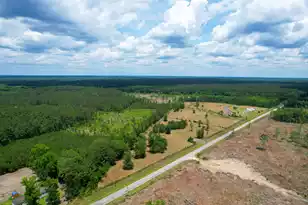 3034 French Santee Rd, Jamestown, SC 29453 - Photo 47