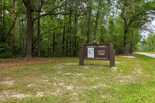 1315 Ridge Rd, Ridgeville, SC 29472 - Photo 59