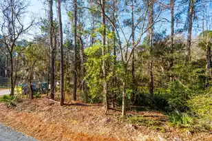3162 Vanessa Lynne Ln, Johns Island, SC 29455 - Photo 57