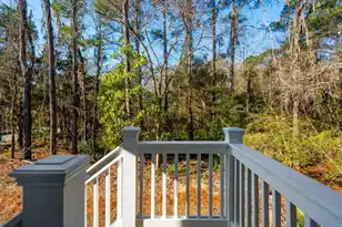 3162 Vanessa Lynne Ln, Johns Island, SC 29455 - Photo 57