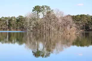 163 Sea Oats St, Summerville, SC 29485 - Photo 29
