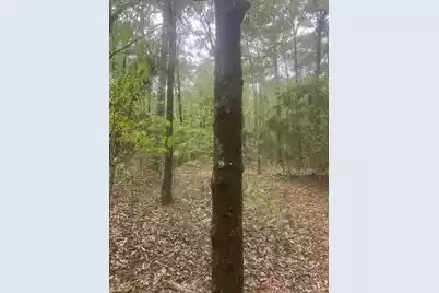 0 Carolina 45 S, Saint Stephen, SC 29479 - Photo 3