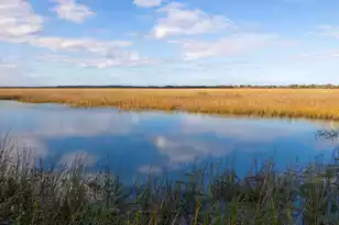 2393 Folly Rd, Folly Beach, SC 29439 - Photo 3