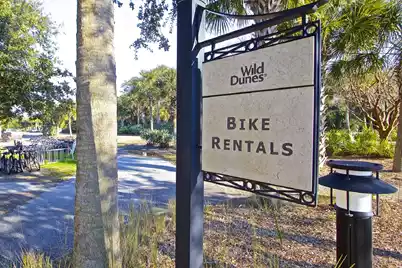 30 Morgan Place Drive, Isle Of Palms, SC 29451 - Photo 93