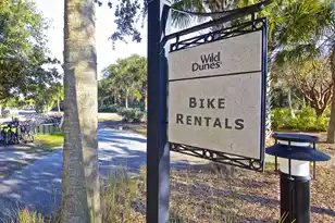 30 Morgan Pl Dr, Isle Of Palms, SC 29451 - Photo 93