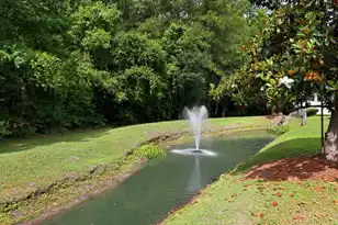 5150 Trump St #2003, North Charleston, SC 29420 - Photo 37