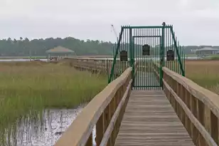 1179 Rivers Reach Dr, Charleston, SC 29492 - Photo 69