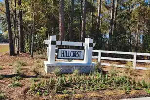 2192 Macallan Blvd, Ravenel, SC 29470 - Photo 23